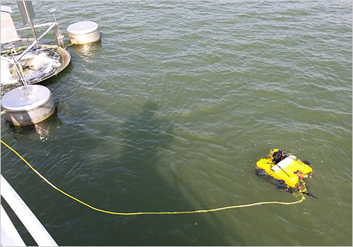 ROV 수중 탐사 및 점검