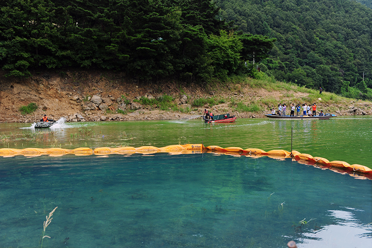 Actual scene of algae removal