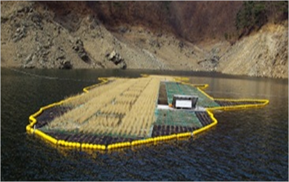 The whole view of floating swamp in Soyang Dam