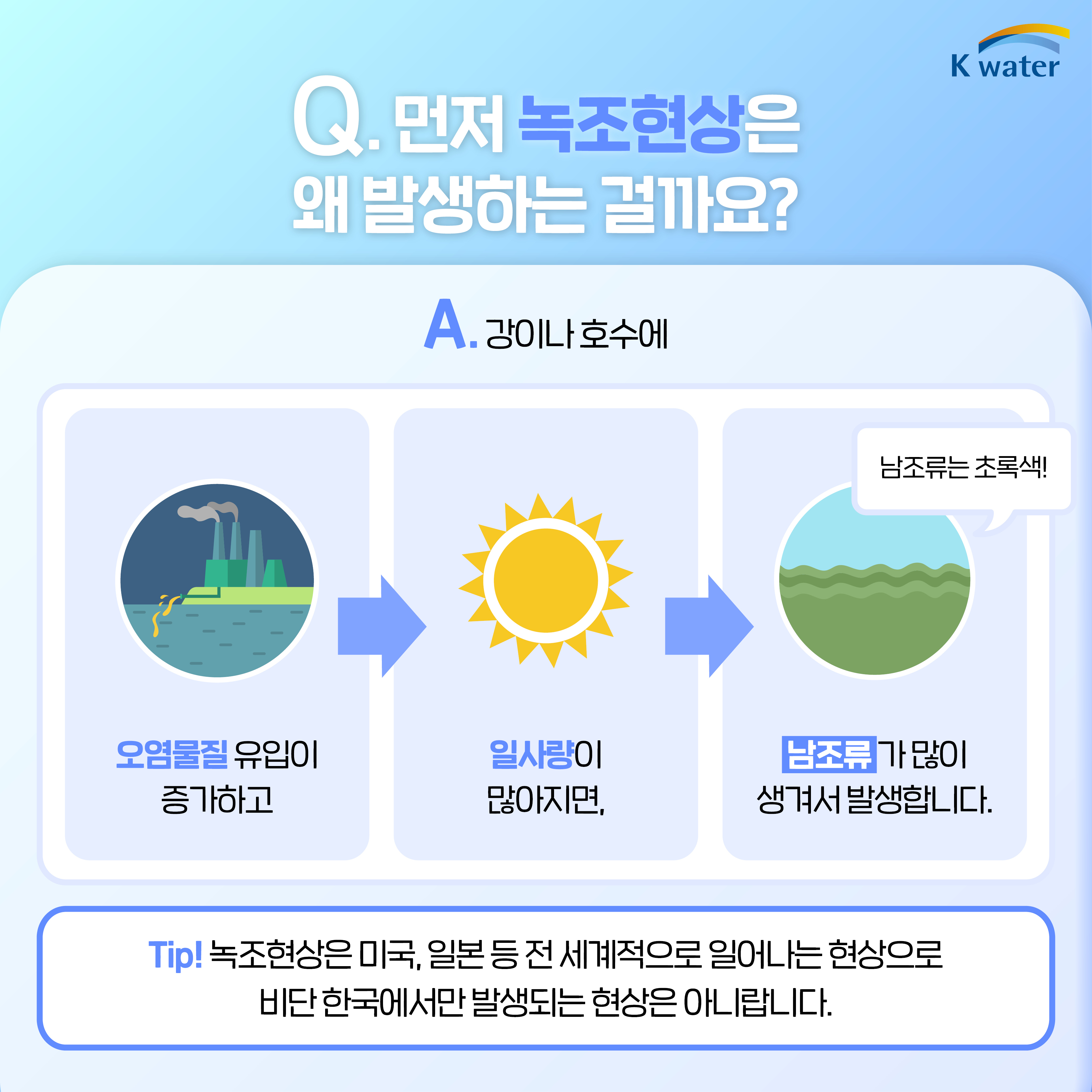 Q. 먼저 녹조현상은 왜 발생하는 걸까요? A. 강이나 호수에 오염물질 유입이 증가하고 일사량이 많아지면, 남조류가 많이 생겨서 발생합니다.(남조류는 초록색!) Tip! 녹조현상은 미국, 일본 등 전 세계적으로 일어나는 현상으로 비단 한국에서만 발생되는 현상은 아니랍니다.