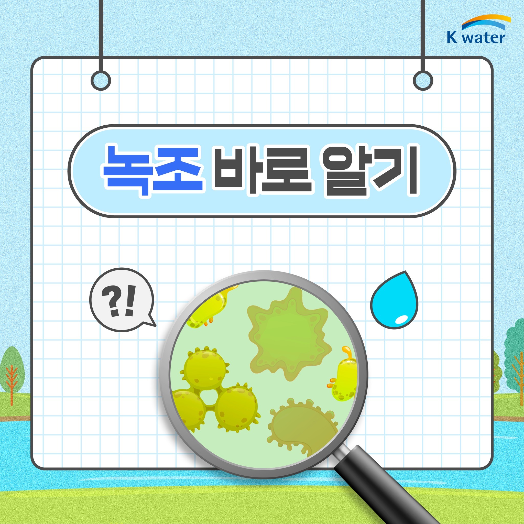 녹조 바로 알기