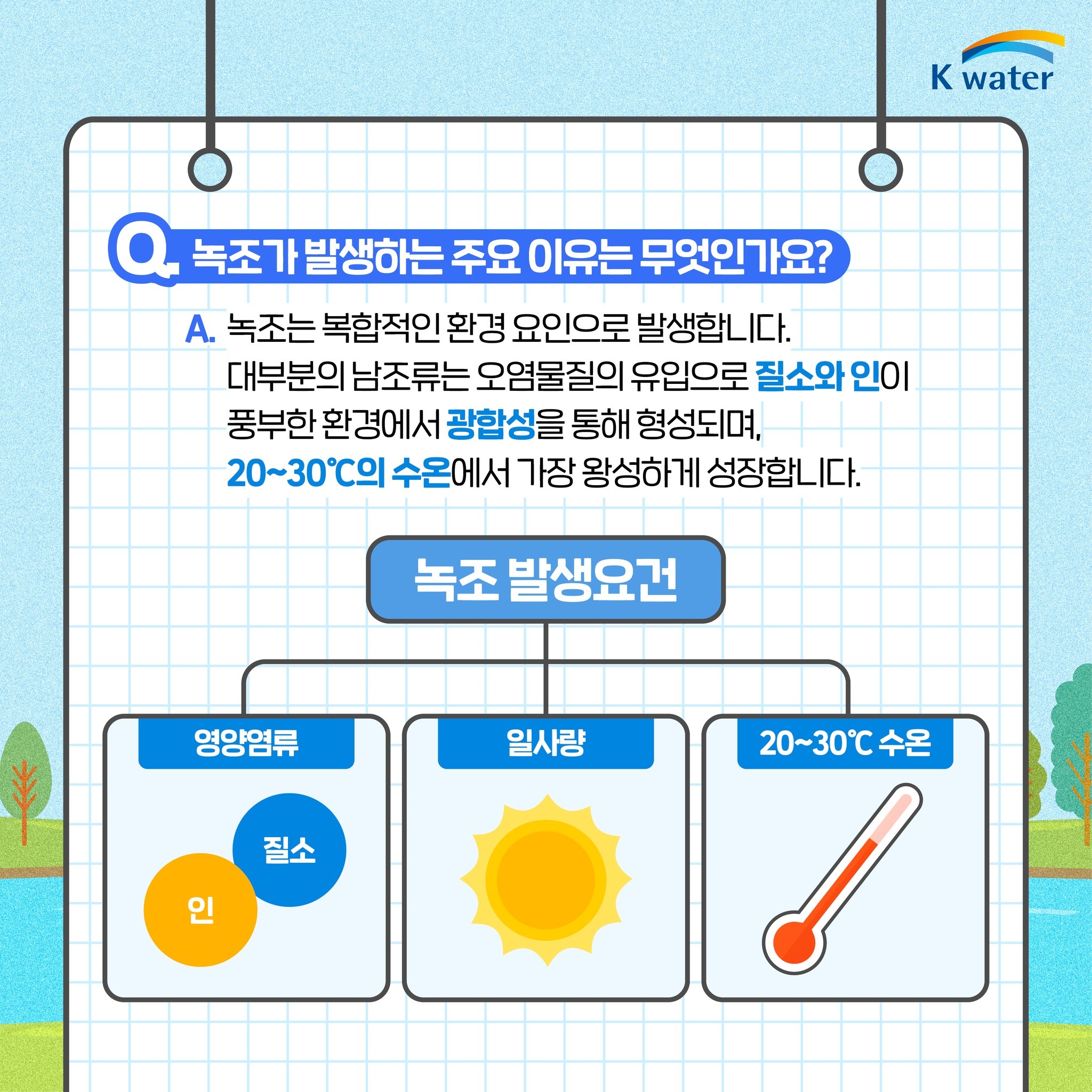 Q. 녹조가 발생하는 주요 이유는 무엇인가요? A. 녹조는 복합적인 환경 요인으로 발생합니다. 대부분의 남조류는 오염물질의 유입으로 질소와 인이 풍부한 환경에서 광합성을 통해 형성되며, 20~30℃의 수온에서 가장 왕성하게 성장합니다. (녹조의 발생요건) 영양염류(질소, 인), 일사량, 20~30℃