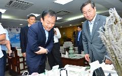 경인아라뱃길에 라벤더 꽃 테마공원 들어서
