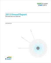 Annual Report 2013