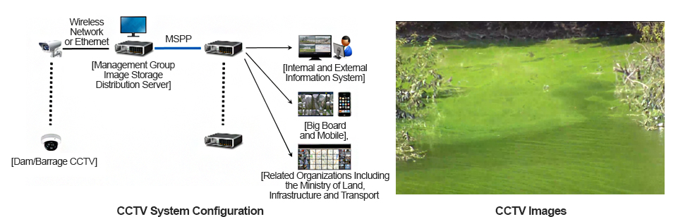 CCTV System Configuration, CCTV Images