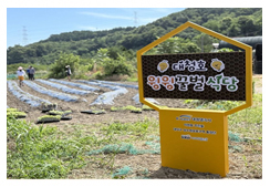 대청호 윙윙꿀벌식당