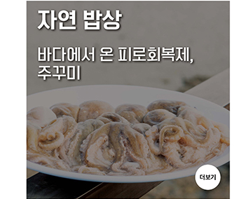 바다에서 온 피로회복제, 쭈꾸미