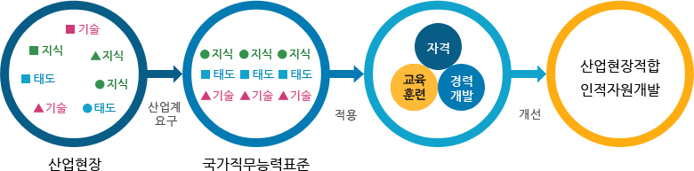 산업현장(산업계요구) → 국가직무능력표준(적용) → 자격, 교육훈련, 경력개발(개선) → 산업현장 적합, 인적자원 개발