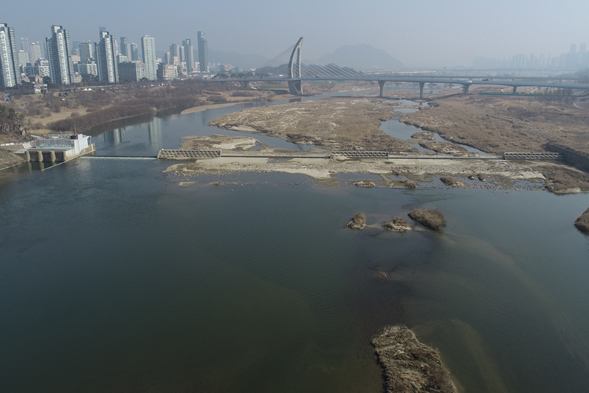 세종보