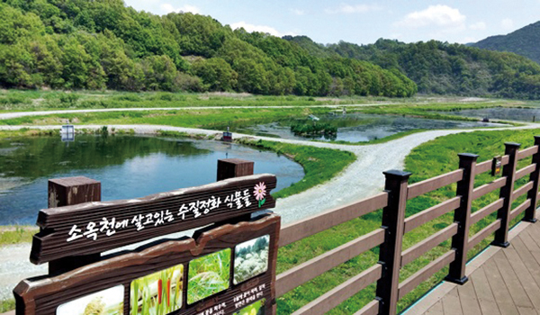 수생태계 보전과 복원 노력 [이미지]