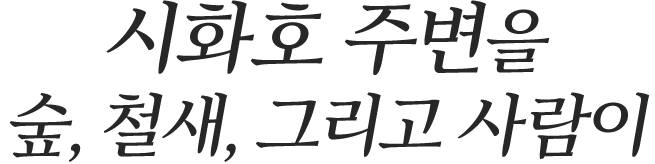 시화호 주변을 숲, 철새, 그리고 사람이